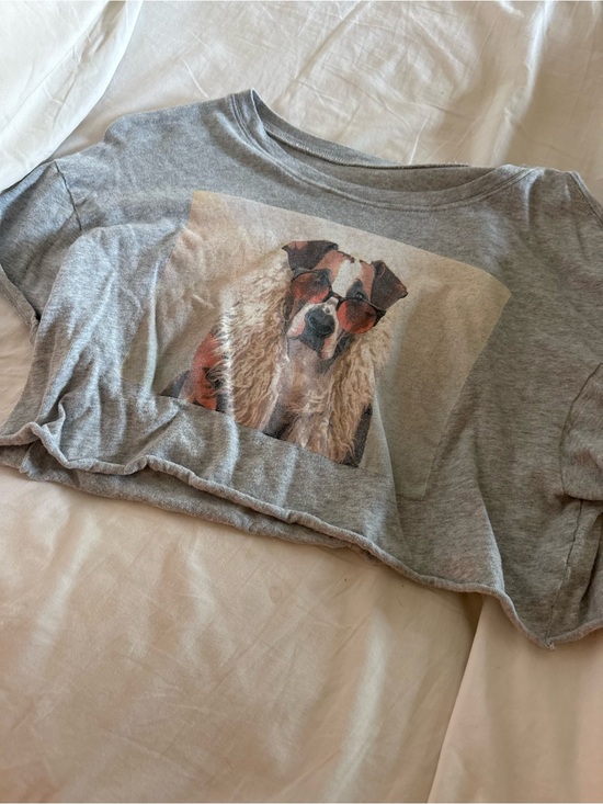 American Eagle Outfitters Tops - American Eagle Outfitters Gray Graphic Crop Top with Dog Print